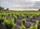 Alt Empordà. Masía y bodega en venta. Costa Brava. Ideal hotel con encanto.