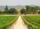 Penedès. Finca y palacio en venta. Bodega y eventos.