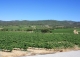 Baix Penedès. Masía y viñedos en venta.