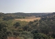 Badajoz. Dehesa ganadera en venta a orillas del embalse de Orellana.