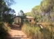 Finca en venta o alquiler para proyecto glamping y bungalows en Huelva.