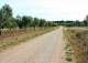 Tarragona Terra alta. Finca olivos en venta. Horta de Sant Joan. Caseres.