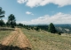 Castellón. Culla. Finca con proyecto turístico en venta. 