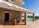 Navarrés. Valencia. Finca y casa rústica en venta. Ideal eventos o proyecto rural