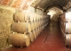 Bodega histórica y viñedos en venta en DO Campo de Borja, Aragón