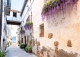 Huesca. La Litera. Antigua Casa señorial en venta. Ideal proyecto turístico rural.