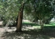 Sevilla. Finca en venta. Alojamiento turístico zona San Jerónimo.