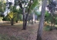 Sevilla. Finca en venta. Alojamiento turístico zona San Jerónimo.