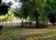 Sevilla. Finca en venta. Alojamiento turístico zona San Jerónimo.