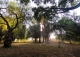 Sevilla. Finca en venta. Alojamiento turístico zona San Jerónimo.