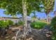 Toledo. Casa rural en venta. Méntrida. Ruta del Vino.