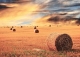 Castilla León. Empresa de Servicios Agrícolas en Venta