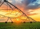 Castilla León. Empresa de Servicios Agrícolas en Venta