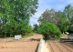 Burgos. Un proyecto turístico rural en venta junto a Clunia Sulpicia. Huerta del Rey Burgos. Un proyecto turístico rural en venta junto a Clunia Sulpicia. Huerta del Rey