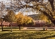 Finca y casa de campo en venta en Guadalajara con licencia hotelera Finca y casa de campo en venta en Guadalajara con licencia hotelera