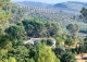 Finca olivar y cortijo en venta en La Sierra del Segura. Jaén. 