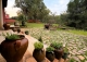 Gran finca de caza mayor en venta en los Montes de Toledo. Ciudad Real Gran finca de caza mayor en venta en los Montes de Toledo. Ciudad Real
