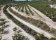 Centro ecuestre en venta en el interior de Alicante: proyecto de inversión con DIC aprobada y potencial de crecimiento