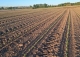Toledo. Finca agrícola y ganadera en venta a una hora de Madrid: 64 hectáreas de regadío e infraestructuras productivas