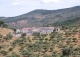 Sierra Morena. Córdoba. Finca de olivar y ocio con gran Hacienda en venta