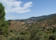Sierra Morena. Córdoba. Finca de olivar y ocio con gran Hacienda en venta