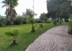 Mijas.  Anteproyecto de 11 Viviendas Unifamiliares. Suelo finalista. Zona Golf