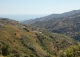 Málaga. Valle de la Axarquía. Hotel Rural en venta. 26 hab y bungalows.