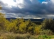 Gerona. Venta masía y finca forestal con aprovechamiento del corcho