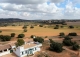 Albacete. Finca en venta. Coto de caza menor y agrícola. 