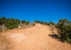 Gran coto de caza en venta. Albacete. Yeste. Finca agrícola y ganadera