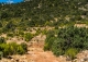 Gran coto de caza en venta. Albacete. Yeste. Finca agrícola y ganadera