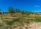 Gran coto de caza en venta. Albacete. Yeste. Finca agrícola y ganadera