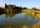 Cártama. Finca ecuestre en venta. 5 viviendas ideal alquiler vacacional