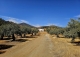 Alora. Casa Rural en venta 37.000 m2. ideal uso alquiler turístico.