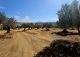 Alora. Casa Rural en venta 37.000 m2. ideal uso alquiler turístico.
