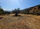 Alora. Casa Rural en venta 37.000 m2. ideal uso alquiler turístico.