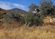 Alora. Casa Rural en venta 37.000 m2. ideal uso alquiler turístico.