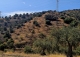Alora. Casa Rural en venta 37.000 m2. ideal uso alquiler turístico.