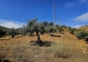 Alora. Casa Rural en venta 37.000 m2. ideal uso alquiler turístico.