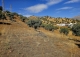 Alora. Casa Rural en venta 37.000 m2. ideal uso alquiler turístico.