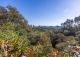 Sierra de Aracena. Huelva. Casas rurales y finca  en venta. Valdelarco.