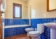 Sierra de Aracena. Huelva. Casas rurales y finca  en venta. Valdelarco.