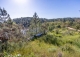Sierra de Aracena. Huelva. Casas rurales y finca  en venta. Valdelarco.