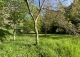 Cuenca. Finca en venta junto al Parador Nacional y el Puente de San Pablo