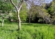 Cuenca. Finca en venta junto al Parador Nacional y el Puente de San Pablo