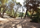 Arenys de Munt. Casa y Finca señorial en venta. Costa de Barcelona· El Maresme