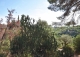 Arenys de Munt. Casa y Finca señorial en venta. Costa de Barcelona· El Maresme