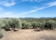 Priorat. Finca histórica en venta destinada a hotel con viñedos y bodegas