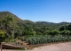 Mallorca. Gran finca en venta. Antigua Possessió, Artà