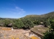 Mallorca. Gran finca en venta. Antigua Possessió, Artà